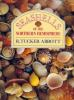 Book cover for "Seashells of the northern hemisphere".