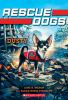 Book cover for "Dusty".