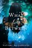 Book cover for "What lies between us".