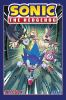 Book cover for "Sonic the Hedgehog".
