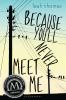 Book cover for "Because you'll never meet me".