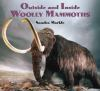 Book cover for "Outside and inside woolly mammoths".
