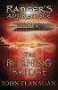 Book cover for "The burning bridge".