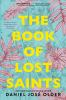 Book cover for "The book of lost saints".