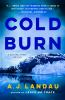 Book cover for "Cold burn".