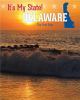 Book cover for "Delaware".