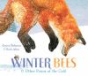 Book cover for "Winter bees & other poems of the cold".