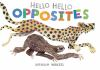 Book cover for "Hello hello opposites".