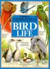 Book cover for "Mysteries & marvels of bird life".