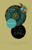 Book cover for "Synchronicity".