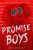 Book cover for "Promise boys".