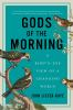 Book cover for "Gods of the morning".