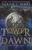 Book cover for "Tower of dawn".