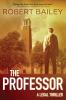 Book cover for "The professor".