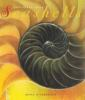 Book cover for "Seashells".