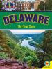 Book cover for "Delaware".