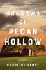 Book cover for "Shadows of Pecan Hollow".
