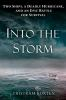Book cover for "Into the storm".