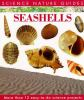 Book cover for "Seashells of North America".