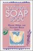 Book cover for "The natural soap book".