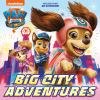 Book cover for "Big city adventures".