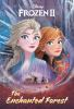 Book cover for "Frozen II".