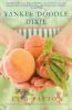Book cover for "Yankee doodle dixie : a novel".