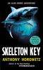 Book cover for "Skeleton Key".