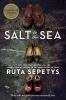Book cover for "Salt to the sea".
