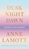 Book cover for "Dusk, night, dawn".