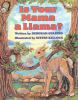 Book cover for "Is your mama a llama?".