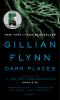 Book cover for "Dark places".