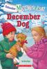 Book cover for "December dog".