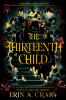 Book cover for "The thirteenth child".