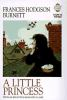 Book cover for "A little princess".