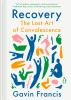 Book cover for "Recovery".