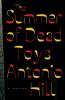 Book cover for "The summer of dead toys".