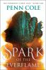 Book cover for "Spark of the Everflame".