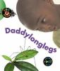 Book cover for "Daddylonglegs".