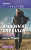 Book cover for "Ambush at Dry Gulch".