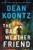 Book cover for "The bad weather friend".