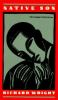 Book cover for "Native son".