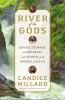 Book cover for "River of the gods".