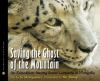 Book cover for "Saving the ghost of the mountain".