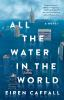 Book cover for "All the water in the world".