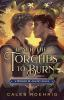 Book cover for "Teach the torches to burn".