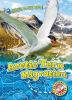 Book cover for "Arctic tern migration".