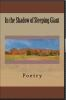 Book cover for "In the shadow of Sleeping Giant".
