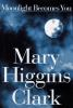 Book cover for "Moonlight becomes you".