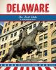 Book cover for "Delaware".